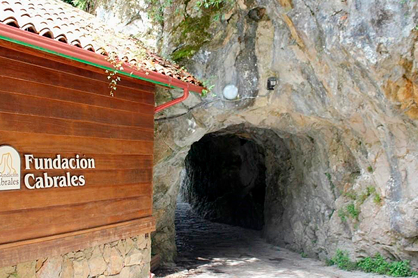 Cueva Exterior fundación Cabrales