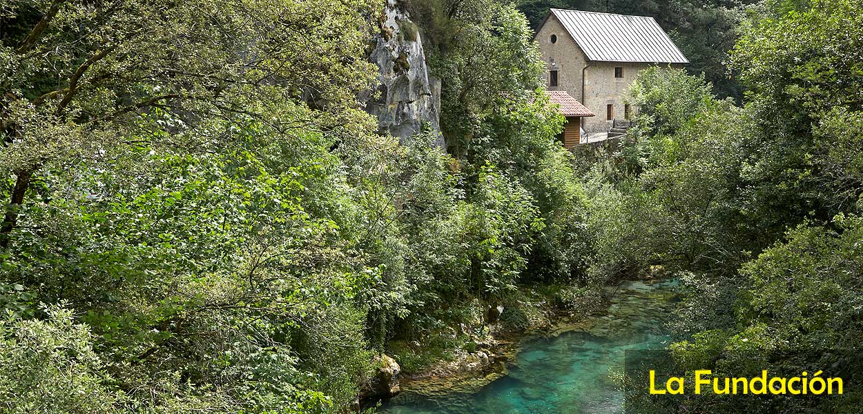 La Fundación Cabrales